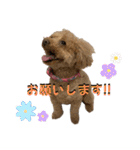 きゅうぷ（個別スタンプ：4）