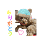 きゅうぷ（個別スタンプ：11）