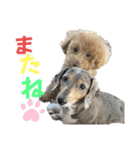 きゅうぷ（個別スタンプ：13）