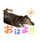 きゅうぷ（個別スタンプ：14）