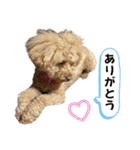 きゅうぷ（個別スタンプ：16）