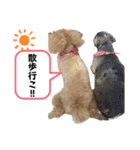 きゅうぷ（個別スタンプ：21）