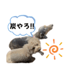 きゅうぷ（個別スタンプ：22）