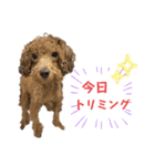 きゅうぷ（個別スタンプ：23）