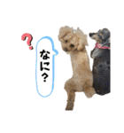 きゅうぷ（個別スタンプ：24）