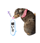 きゅうぷ（個別スタンプ：29）