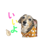 きゅうぷ（個別スタンプ：31）