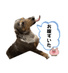 きゅうぷ（個別スタンプ：32）