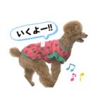 きゅうぷ（個別スタンプ：33）