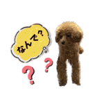 きゅうぷ（個別スタンプ：35）
