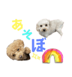 きゅうぷ（個別スタンプ：37）