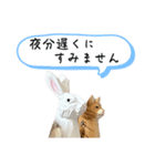 なるべく丁寧な兎と猫（個別スタンプ：6）