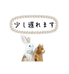 なるべく丁寧な兎と猫（個別スタンプ：14）