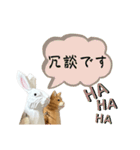 なるべく丁寧な兎と猫（個別スタンプ：20）