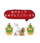 なるべく丁寧な兎と猫（個別スタンプ：22）