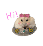 hamster "purin" stamp（個別スタンプ：5）