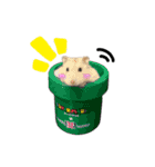 hamster "purin" stamp（個別スタンプ：10）