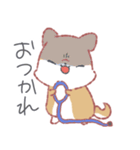 ゆるい柴犬(赤)（個別スタンプ：11）