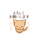 さわ犬ラッキー（その後1日目）（個別スタンプ：4）