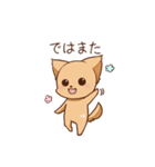 さわ犬ラッキー（その後1日目）（個別スタンプ：6）