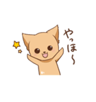 さわ犬ラッキー（その後1日目）（個別スタンプ：7）