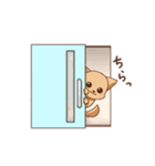 さわ犬ラッキー（その後1日目）（個別スタンプ：9）