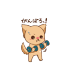 さわ犬ラッキー（その後1日目）（個別スタンプ：11）