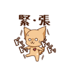 さわ犬ラッキー（その後1日目）（個別スタンプ：13）