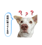 さくら！！（個別スタンプ：2）