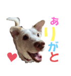 さくら！！（個別スタンプ：4）