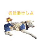さくら！！（個別スタンプ：8）