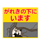 東京のくま【防災・災害時編】（個別スタンプ：22）