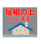 東京のくま【防災・災害時編】（個別スタンプ：24）