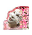 ばば会（個別スタンプ：14）
