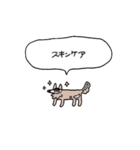 生活強要犬2（個別スタンプ：10）