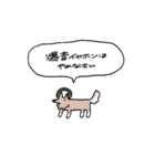 生活強要犬2（個別スタンプ：20）