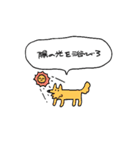 生活強要犬2（個別スタンプ：21）