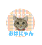 クルミさんの似顔絵（個別スタンプ：1）