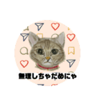 クルミさんの似顔絵（個別スタンプ：10）