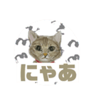 クルミさんの似顔絵（個別スタンプ：16）