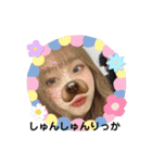 はるぼうPart2（個別スタンプ：8）
