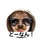 はるぼうPart2（個別スタンプ：14）