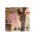 はるぼうPart2（個別スタンプ：16）