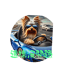 Yorkshire Terrier riding a motorcycle（個別スタンプ：6）