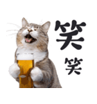 酒ビール！2リアルな猫ミーム（日常）（個別スタンプ：4）