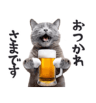 酒ビール！2リアルな猫ミーム（日常）（個別スタンプ：5）