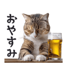 酒ビール！2リアルな猫ミーム（日常）（個別スタンプ：8）