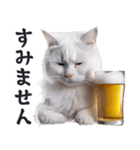 酒ビール！2リアルな猫ミーム（日常）（個別スタンプ：13）