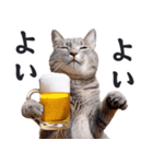 酒ビール！2リアルな猫ミーム（日常）（個別スタンプ：14）