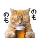 酒ビール！2リアルな猫ミーム（日常）（個別スタンプ：19）